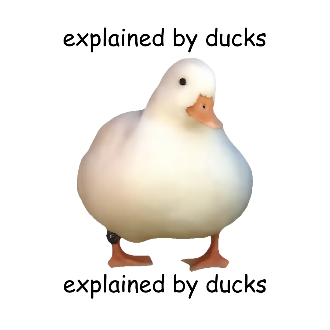 Explained by ducks splash screen